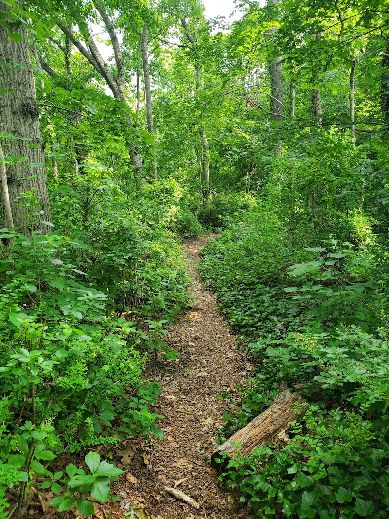 Tackapausha Nature Preserve photo 4