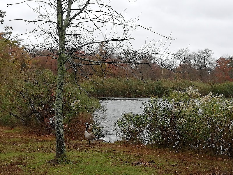 Tackapausha Nature Preserve photo 5