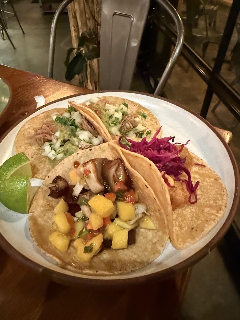 Tacomida photo 4