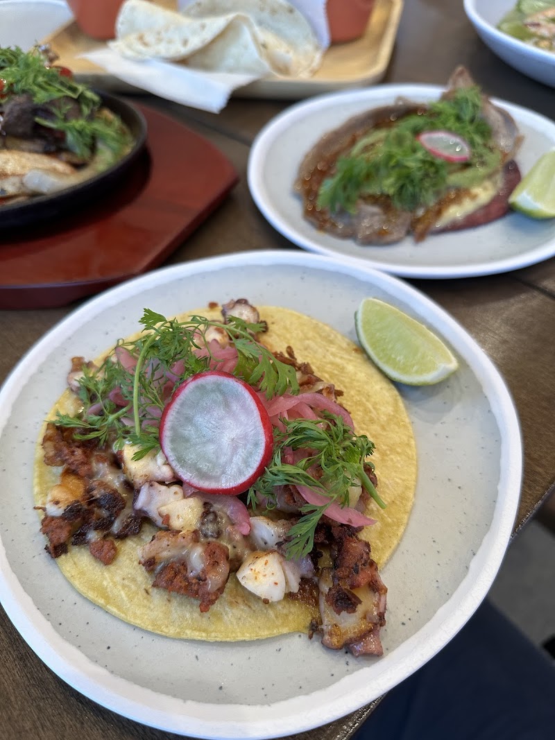 Tacos Malamadre photo 3