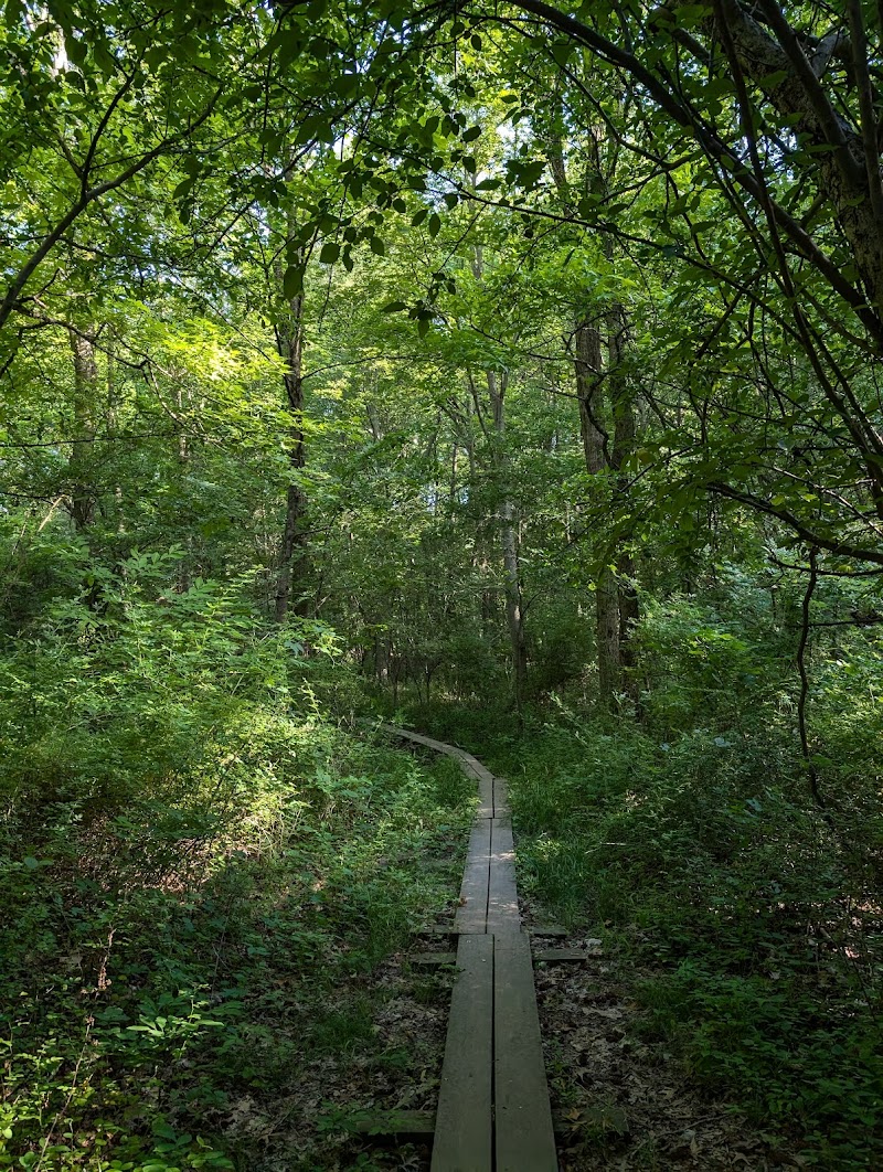 Tallman Mountain State Park photo 3