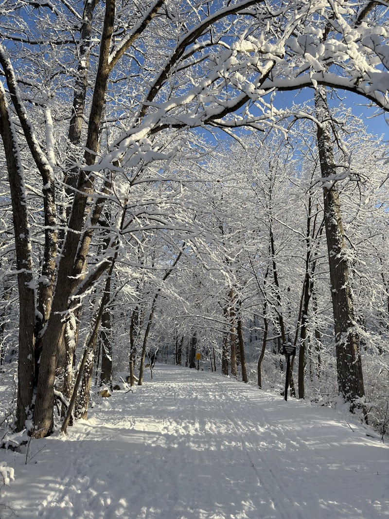 Tallman Mountain State Park photo 5