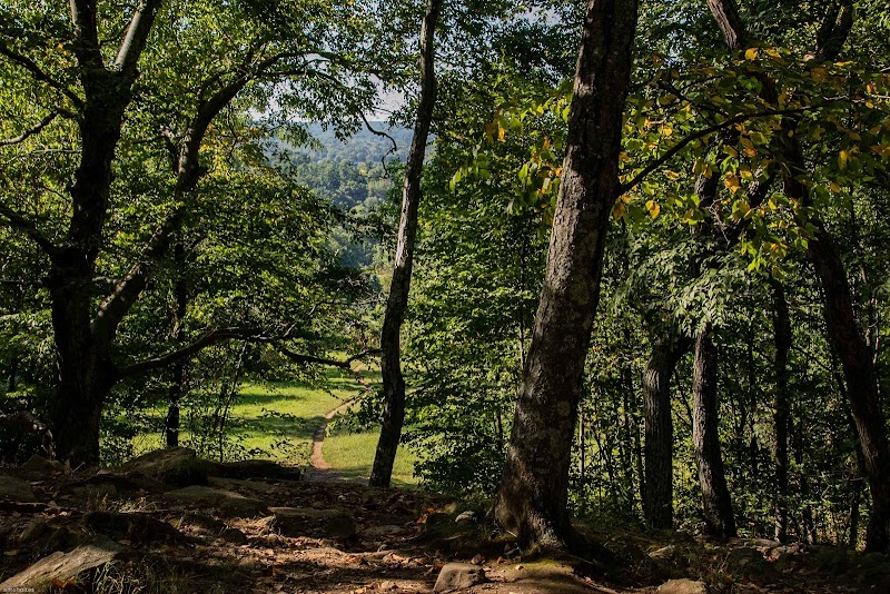 Tarrywile Park photo 4
