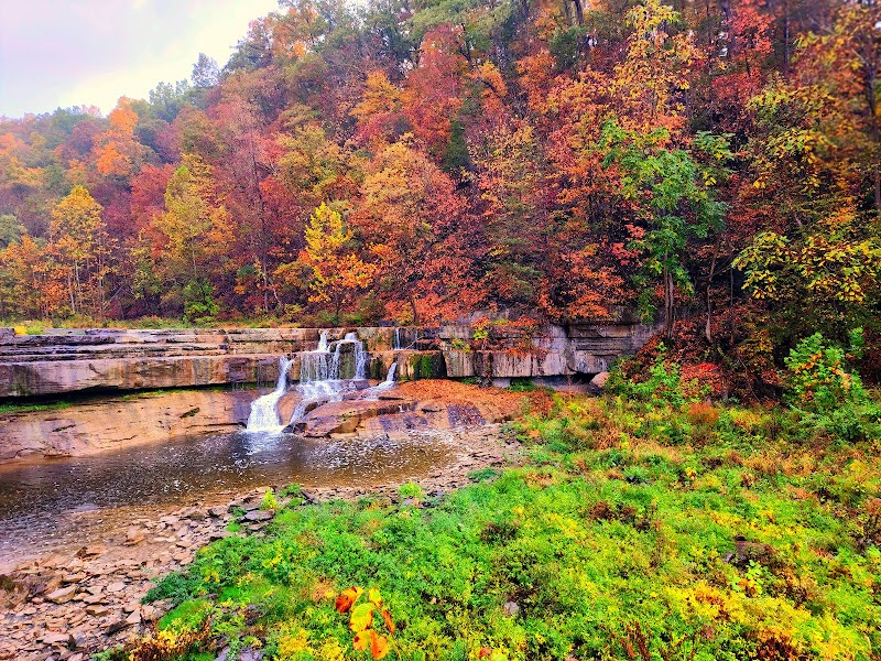 Taughannock Falls State Park photo 3