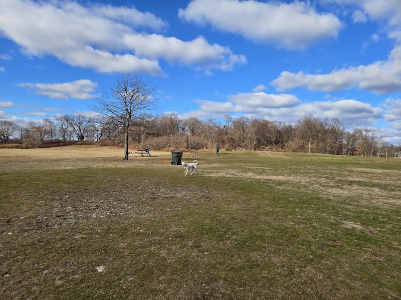 Taylor Farm Dog Park photo 3