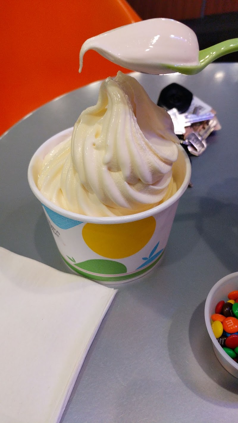 TCBY photo 4