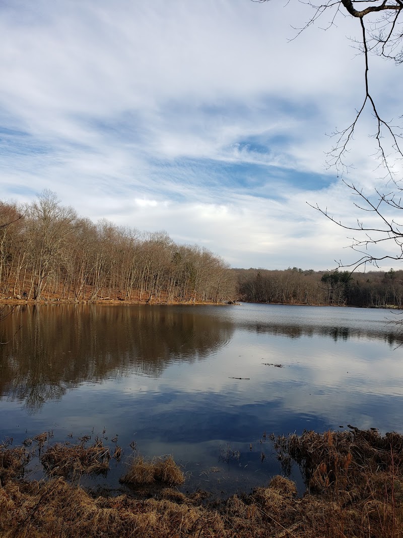 Teatown Lake Reservation photo 3