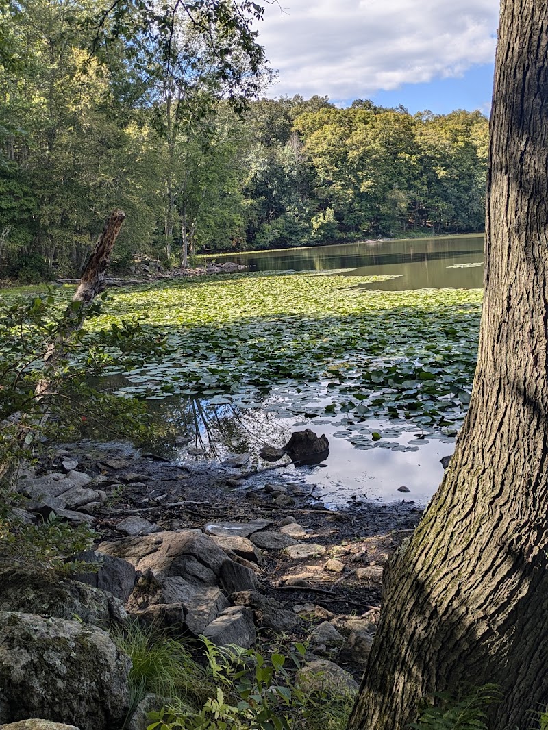 Teatown Lake Reservation photo 4