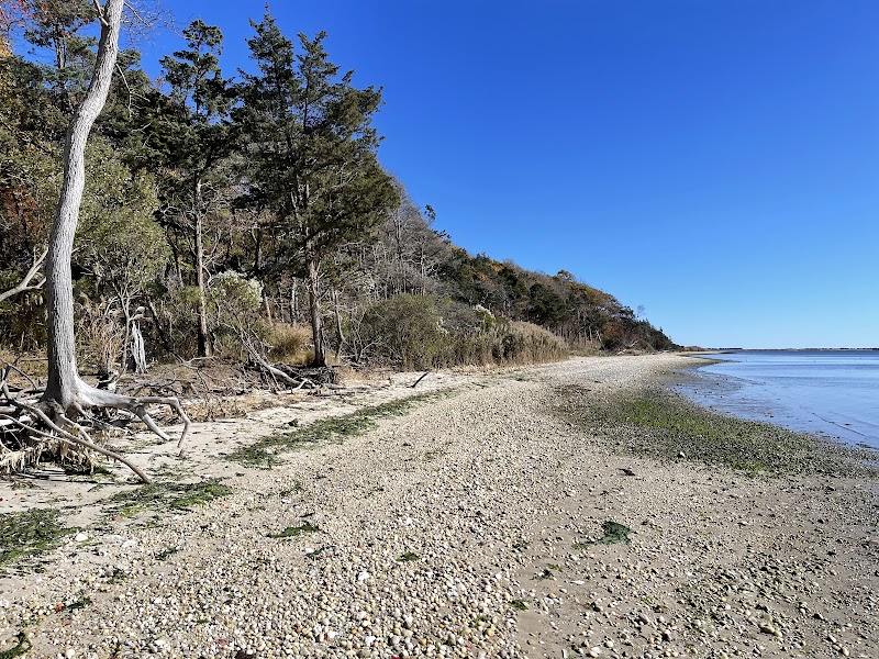 Terrell River County Park photo 3