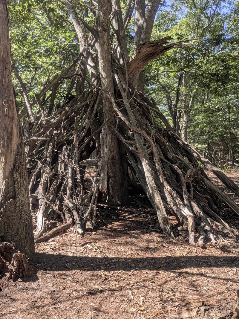 Terrell River County Park photo 4