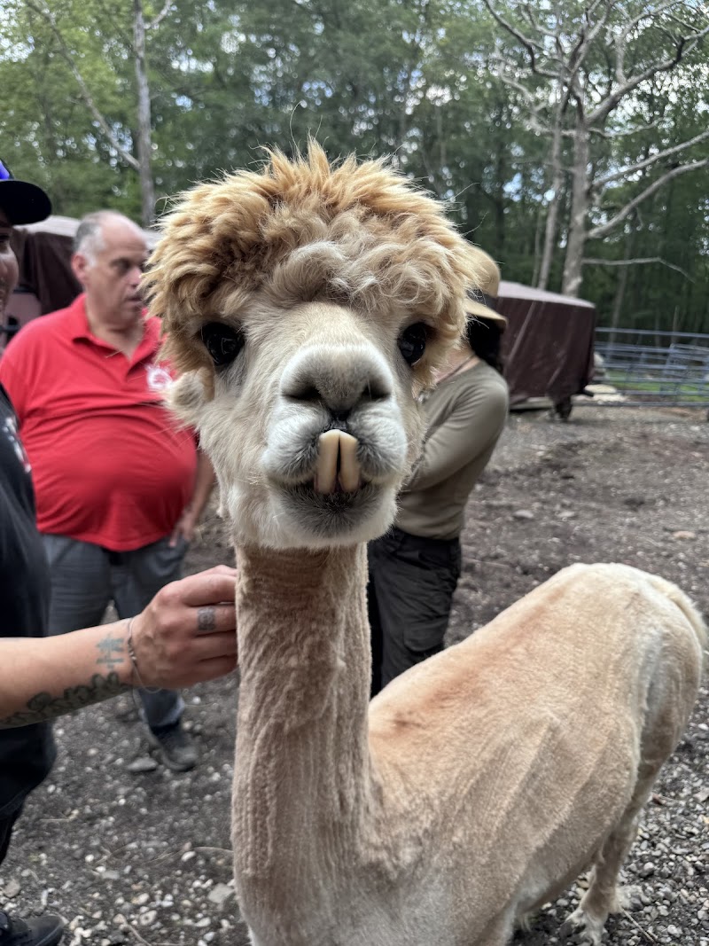 TevaLand Sanctuary Farm photo 2
