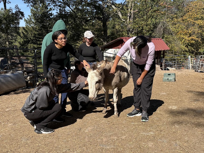 TevaLand Sanctuary Farm photo 3