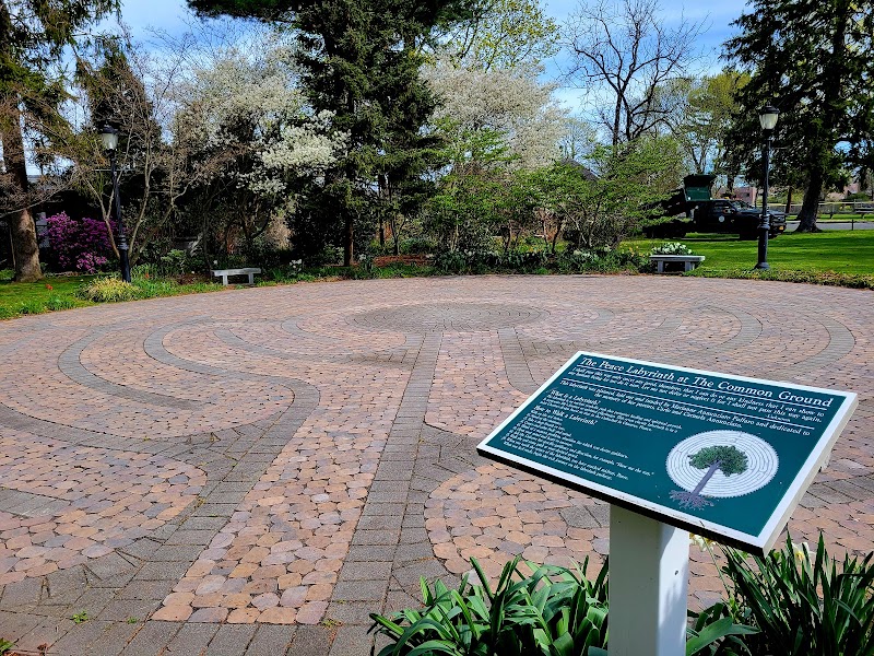 The Common Ground at Rotary Park photo 4