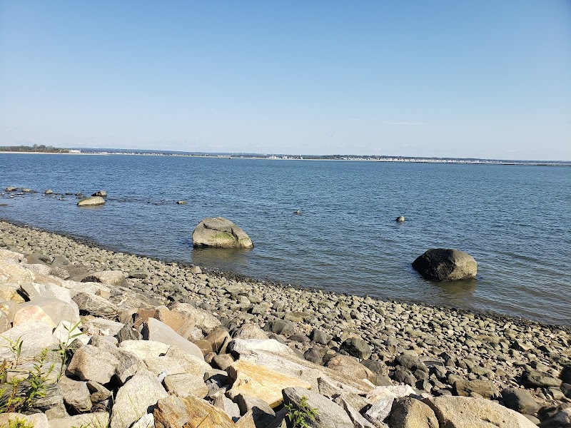 The Connecticut Audubon Society at Stratford Point photo 4