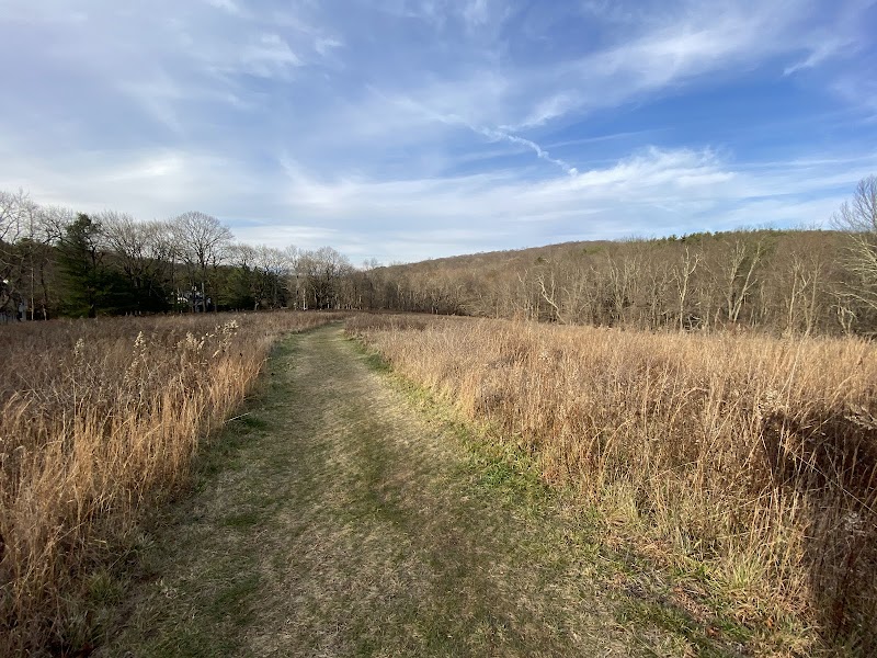The Eugene and Agnes Meyer Nature Preserve photo 2