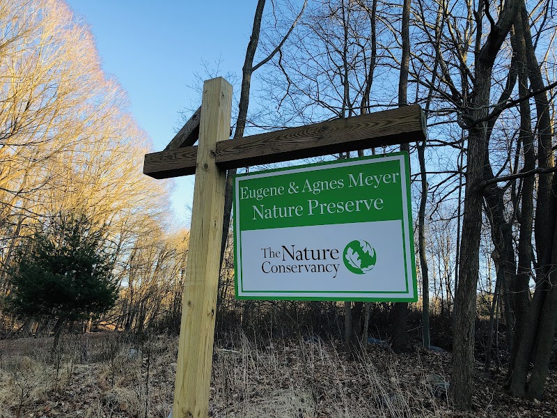 The Eugene and Agnes Meyer Nature Preserve photo 3
