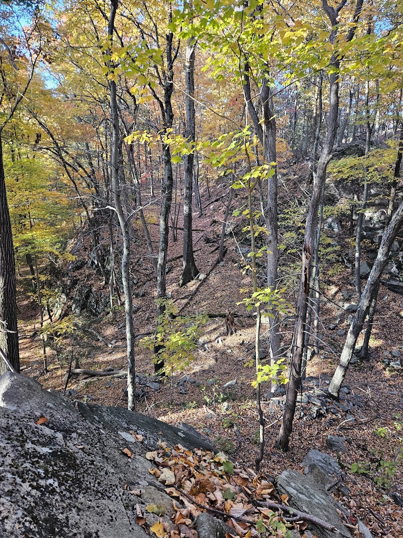 The Eugene and Agnes Meyer Nature Preserve photo 4