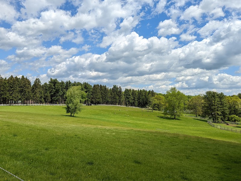 The Farm at Cabbage Hill photo 3
