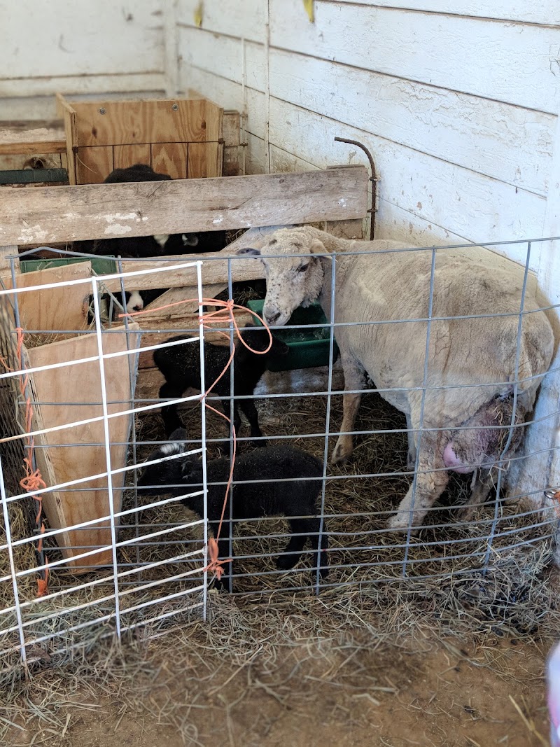 The Farm at Cabbage Hill photo 5