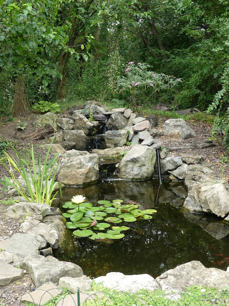 The Garden City Bird Sanctuary photo 3