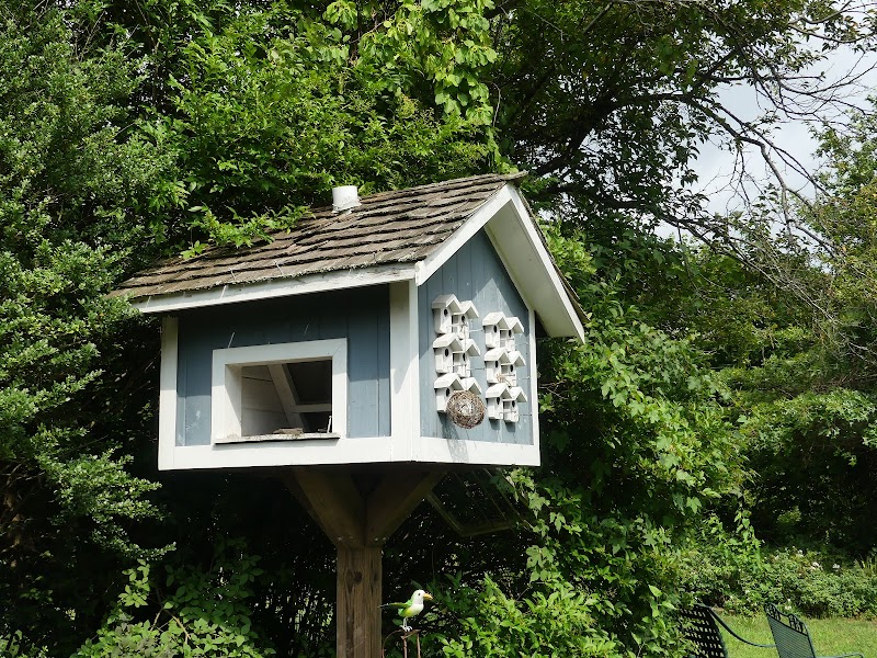 The Garden City Bird Sanctuary photo 4