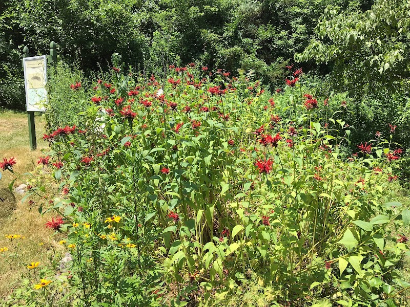 The Garden City Bird Sanctuary photo 5