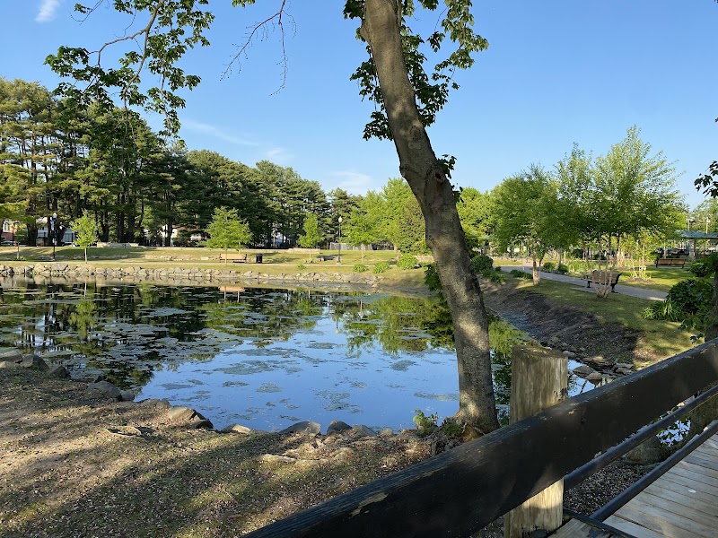 The Heckscher Museum of Art photo 4