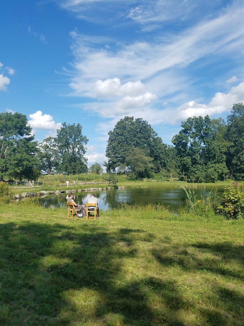 The Hickories photo 2