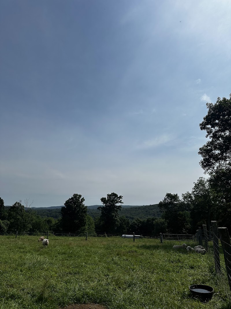 The Hickories photo 4
