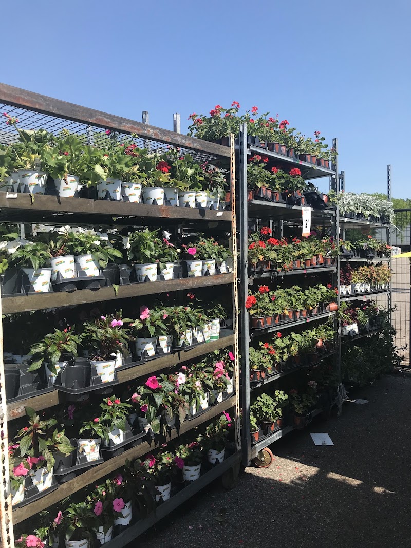 The Home Depot photo 3