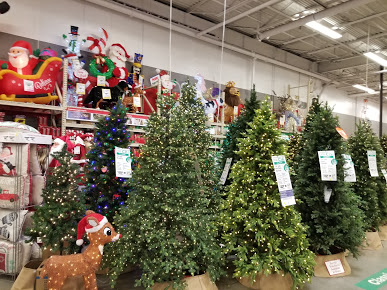 The Home Depot photo 5