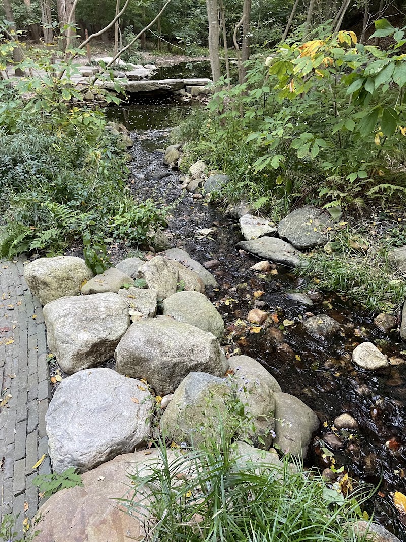 The Labyrinth at Avalon Nature Preserve photo 3