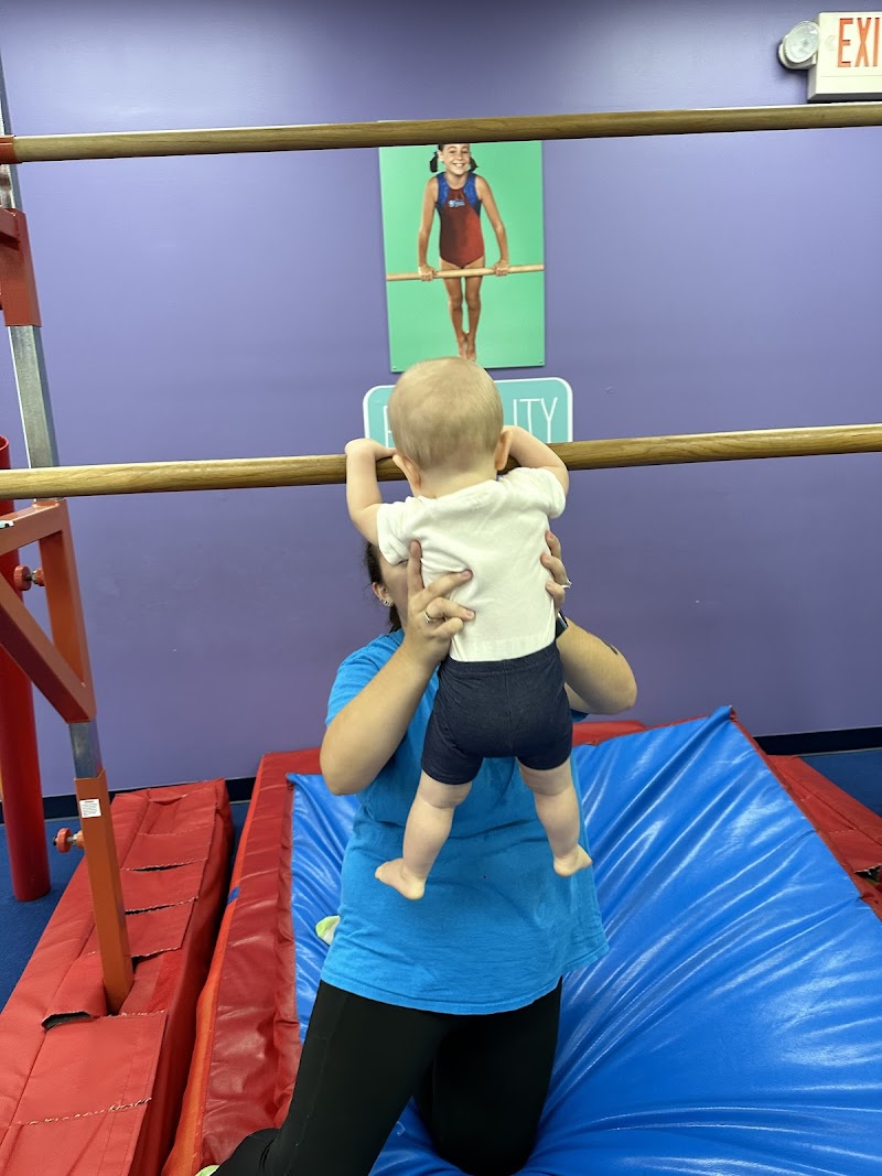 The Little Gym of Levittown photo 2