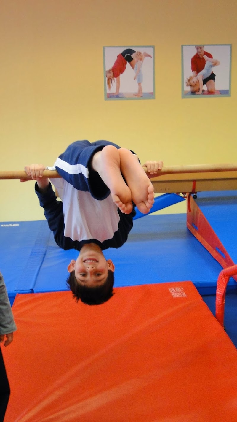 The Little Gym of Levittown photo 4