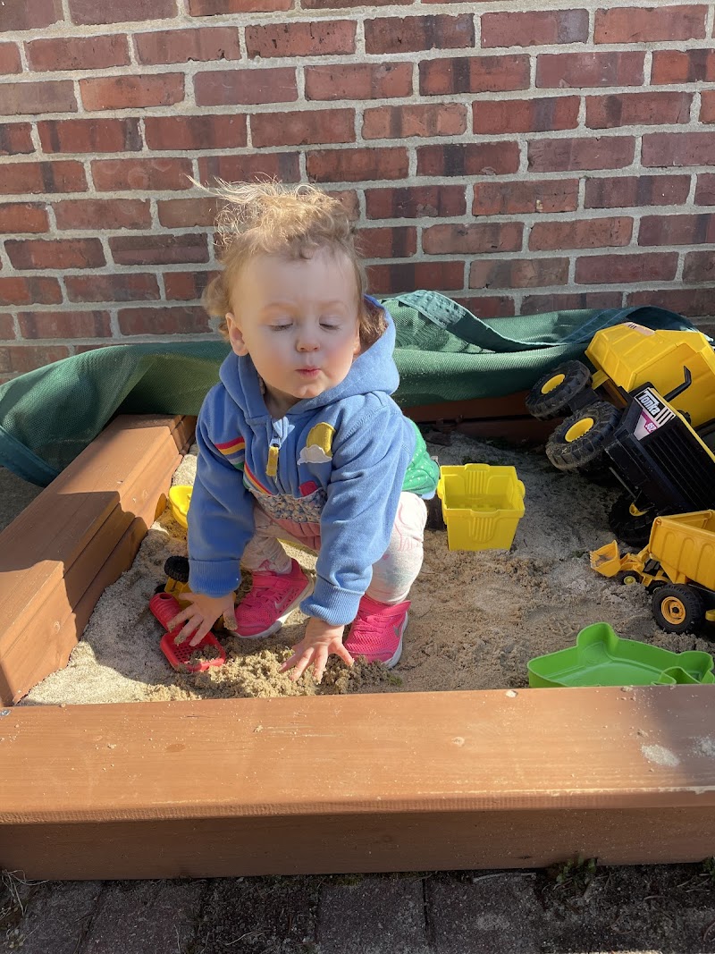 The LittleSandbox LLC photo 3