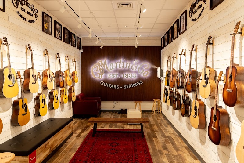 The Music Zoo photo 4