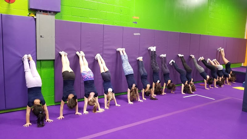 The PAC : Progressive Athletic Center photo 4