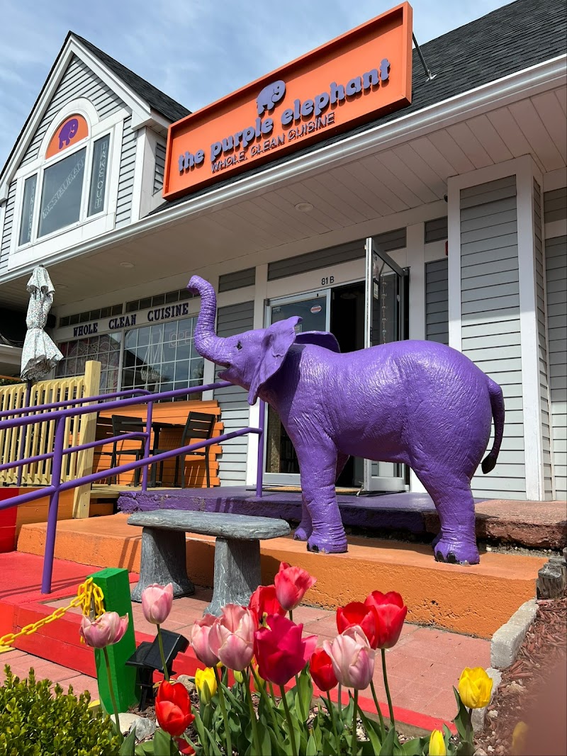 The Purple Elephant photo 3