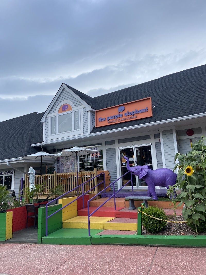 The Purple Elephant photo 4