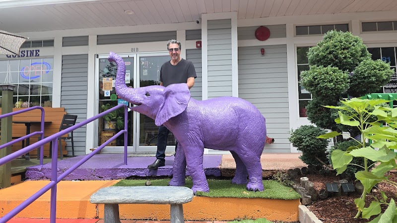The Purple Elephant photo 5
