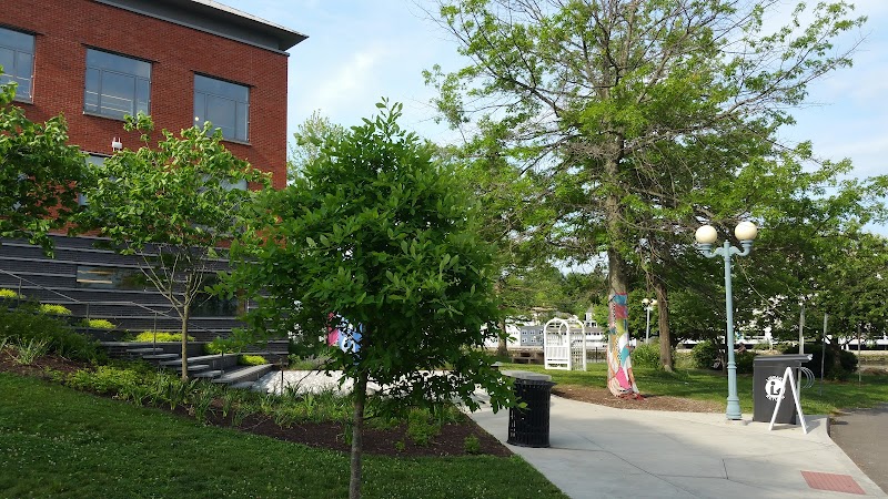 The Westport Library photo 5