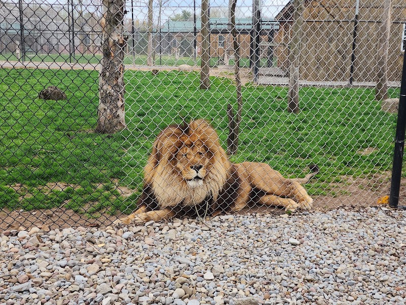 The Wild Animal Park photo 2