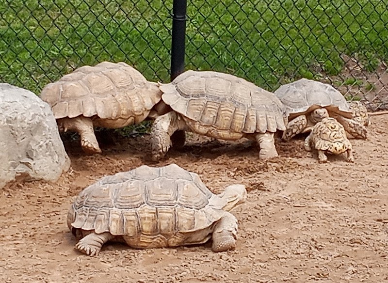 The Wild Animal Park photo 5
