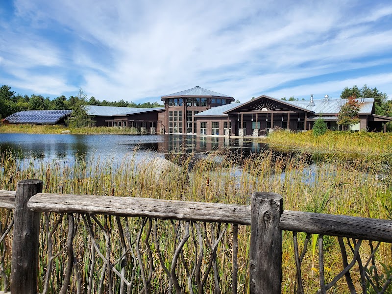 The Wild Center photo 3