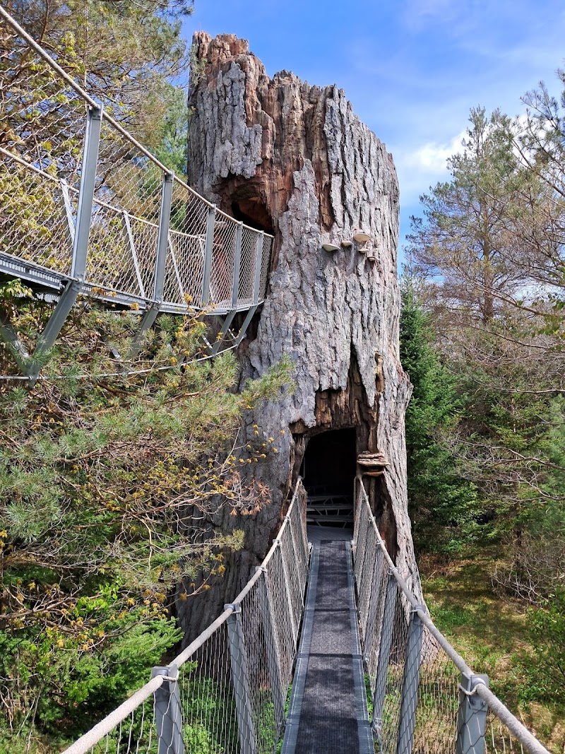 The Wild Center photo 4