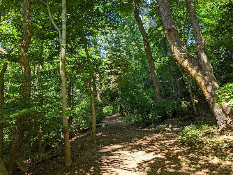Theodore Roosevelt Sanctuary and Audubon Center photo 5