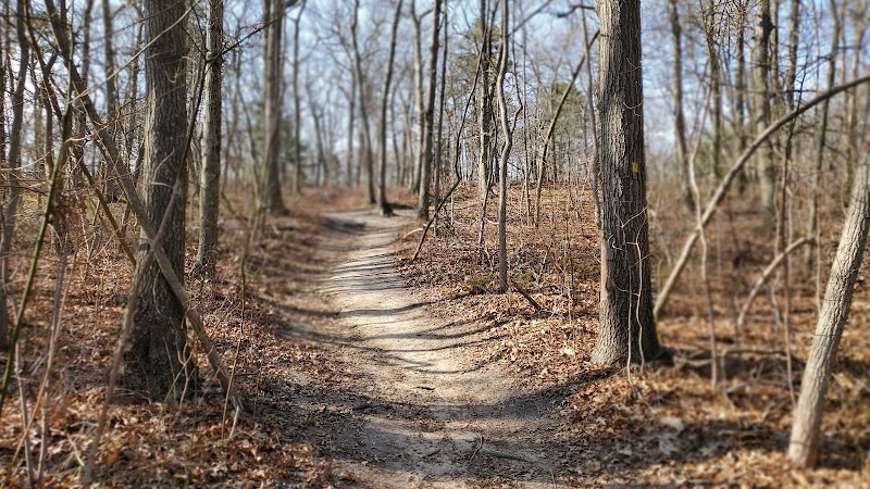 Thomas Muratore Park at Farmingville Hills photo 4