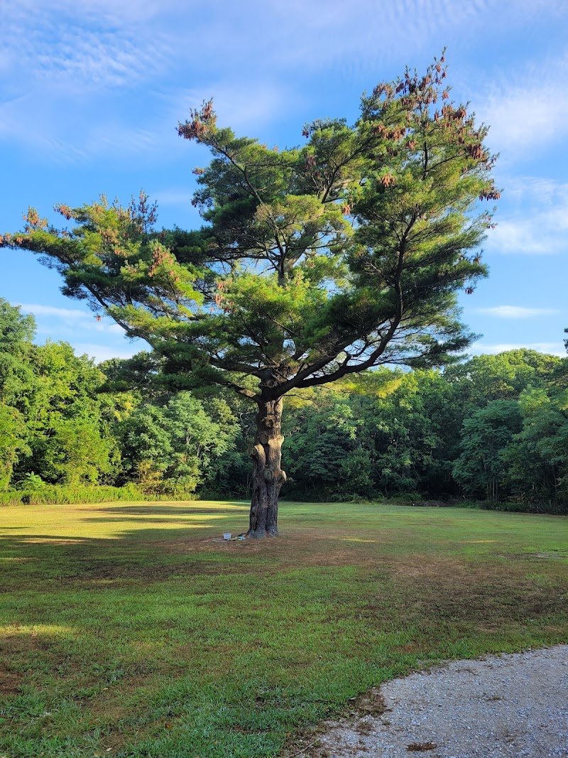 Thomas Muratore Park at Farmingville Hills photo 5