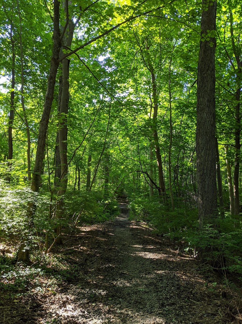 Tiffany Creek Preserve photo 2