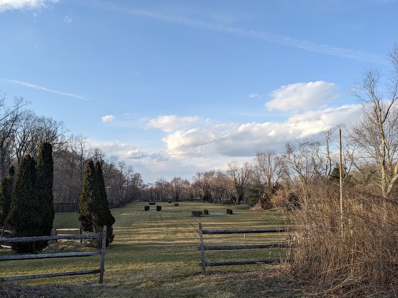Tiffany Creek Preserve photo 5